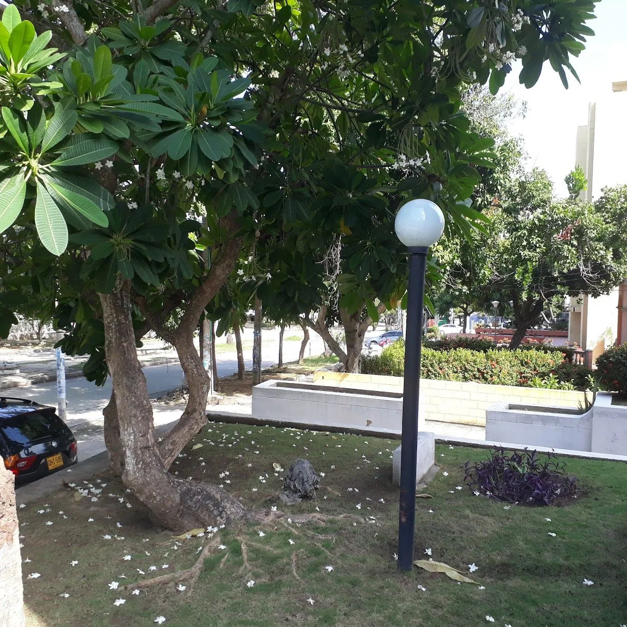 Life & Culture · Barranquilla