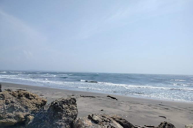 View from the Magdalena River boat tour