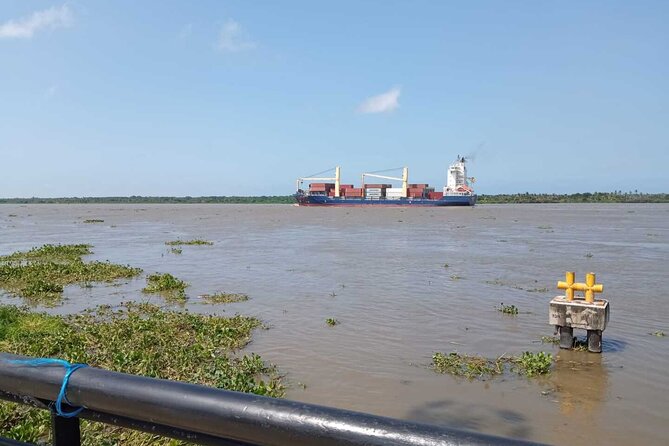 Boat tour on the Magdalena River to Bocas de Cenizas