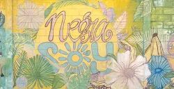 Dancing in Barranquilla: Salsa, Cumbia, Champeta (2026)