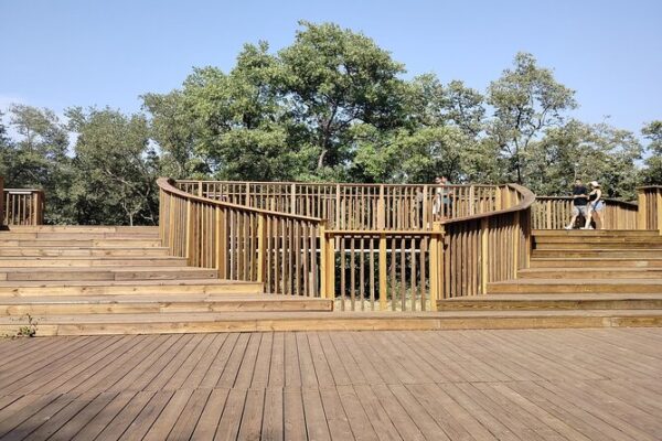 Mallorquin Eco Park Tour Barranquilla: Mangroves & Wildlife (2026)