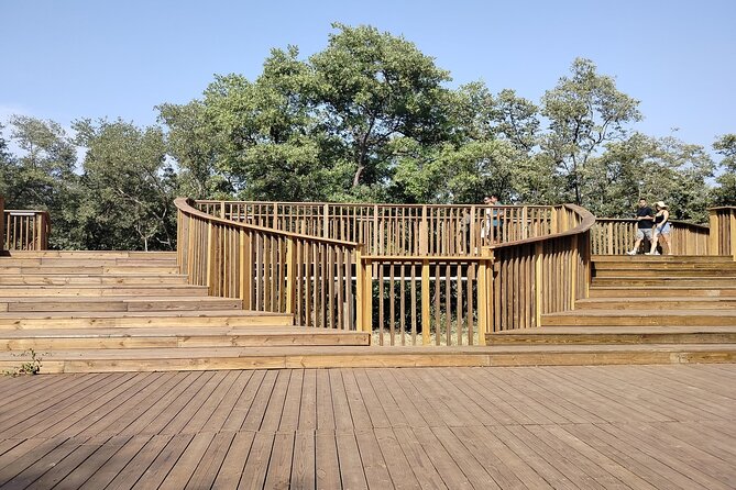 Mallorquin Eco Park Tour Barranquilla: Mangroves & Wildlife (2026)