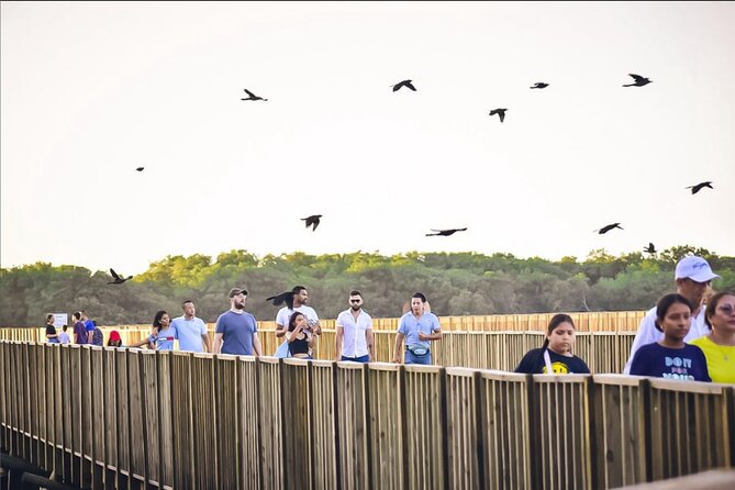 Mallorquin wetlands nature walk