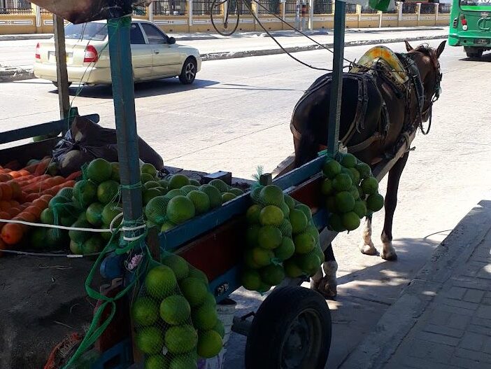 Orange vendor on Via 40 in Barranquilla