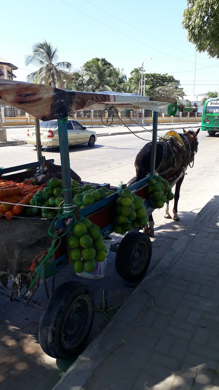 Fruit vendor selling oranges on Via 40